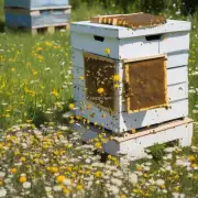 养蜂的土传粉源是否足够?