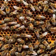 蜜蜂在被热坏后会发生什么变化?