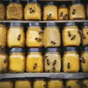 蜜蜂什么时候停止产蜜糖并开始生产蜂蜜替代品?