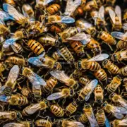 蜜蜂秋繁幼虫如何与其他昆虫相互作用?