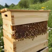 养蜂人应该如何根据不同季节调整蜂箱内的温度和湿度以保证蜜蜂的生长发育不受影响?