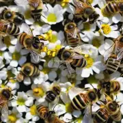 蜜蜂春繁是否需要使用农药来防止蜂群破坏植物吗?