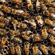 在蜜蜂开始交配繁殖时蜂巢内会产生大量的花粉和蜜液这对蜜蜂的生存有着重要的意义那么问题来了蜜蜂如何管理这些资源以保证蜂群的健康成长?