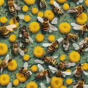 蜜蜂在采花粉时是否会遇到危险?