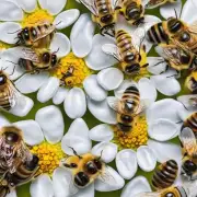 对于马蜂蛰伤患者而言有哪些药物可能有助于缓解疼痛和肿胀现象?