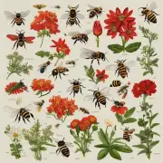 针对马蜂和蜜蜂蜇伤后引起的瘙痒感和红肿现象有哪些草药可以应用于治疗呢?