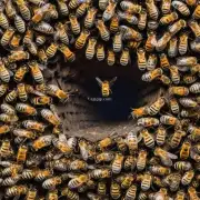那么蜜蜂为什么会在巢穴里筑起各种各样的巢穴呢?它们为什么要这么做呢?