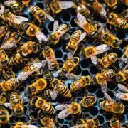 我想在迷你世界中种植蜂窝来吸引蜜蜂?