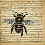 如何在蜜蜂剪辑中进行多音节单词转换MRA操作?