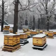 室外养蜂场地方冬季如何防止蜜蜂冻伤?