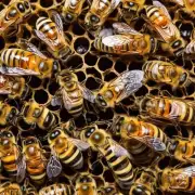 你有兴趣了解当地的人口如何参与到蜜蜂养殖行业中吗?