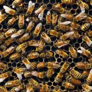 为什么蜜蜂对蜜蜂巢穴的温度有严格的要求?