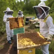 养蜂是否会对自然环境造成负面影响?