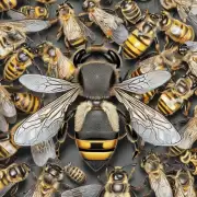 众所周知蜜蜂是一个社会性昆虫在蜂群中如何定义工蜂和王蜂?它们有哪些特征或行为习惯与其他工蜂不同?
