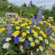 蜜蜂春繁是否提供有关如何在自己的花坛上安装蜂网的指导方针呢?