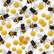 如何判断蜜蜂是否有过量食用糖分的情况呢?