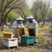 北京市周边地区和天津东丽接壤的村庄有哪些养蜂业?