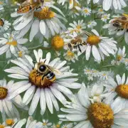 蜜蜂通过什么方法找到它们所要飞往的地方?