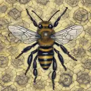 断定蜜蜂如何造脾最有效?