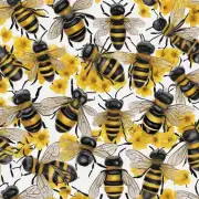 如何选择适合自己的蜜蜂品种?
