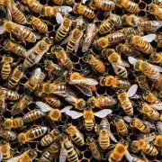 以蜜蜂为象征如何将农民伯伯辛勤劳动的精神融入故事情节中?