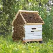 什么是蜂窝系统的优点? 它们如何使用蜜蜂造满巢框呢图片?