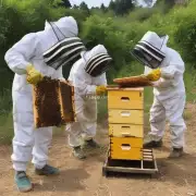有哪些方法可以提高养蜂的质量并保证蜂蜜产量高?