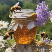 为什么蜂蜜会吸引蜜蜂?