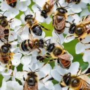 蜜蜂采花蜜的过程中是否会遇到一些困难或障碍如虫子病毒等导致其身体不适从而影响采蜂效果吗?