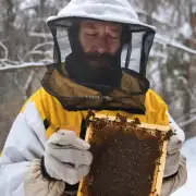 室内养蜂场地方冬季如何防止蜜蜂冻伤?