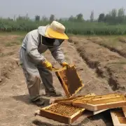 中国养蜂人在新农村建设中扮演的角色是什么?