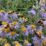 在何种条件下蜜蜂不会工作了不再从花朵上收集花粉和酿造食物?