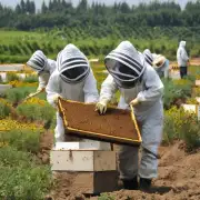 你认为种植蜜蜂和普通养殖有什么不同之处吗?