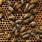 当蜜蜂幼虫开始在其他成年蜜蜂的示范下学习时它们学会了觅食行为和与蜂群其他成员互动的方式在蜂巢内幼虫通过形成一层外壳来保持体温恒定并防止外界影响因此问题19蜜蜂幼虫如何保护自己的身体免受外部环境的影响?