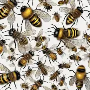 问题描述为什么在蜂蜜养殖中会发生蜜蜂产卵时死亡的现象?
