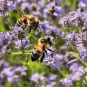 哪种方法是环保的并且对蜜蜂的影响最小?
