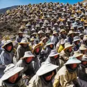 求知欲强的人们是否愿意为西藏的蜜蜂养殖业付出?