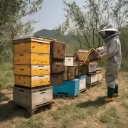 为什么中国养蜂业现在发展得如此快?