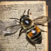 绍兴这个地名有没有特殊的历史意义或者与蜜蜂相关的故事呢?