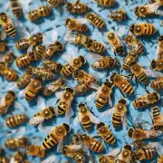 蜜蜂秋繁幼虫在秋天里的营养需求是否与春夏季有所不同?