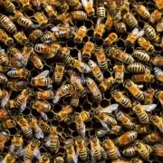 蜜蜂是如何记住它们的巢穴位置和方向的?
