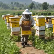 如何培养更多的农民养蜂人以便更有效地促进农业发展?