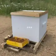 蜂蜜对蜜蜂有什么好处?