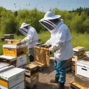 养蜂需要注意哪些方面的技术知识?