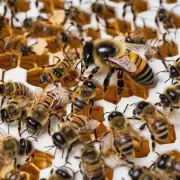 哪些化学物质可以成为蜜蜂致死药物配方中的重要组成部分?