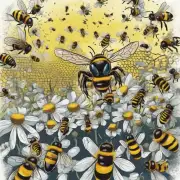 蜜蜂蜇伤后可以进行体育运动吗?