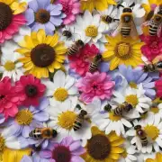 蜜蜂为什么会选择一些特定的花朵作为它们的食物来源?