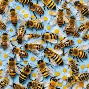 蜜蜂如何找到合适的花朵以采蜜?