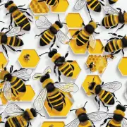 想要知道多少脾蜜蜂才分蜂的最佳答案是什么?