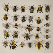 蜜蜂为什么会集体跳舞并对这些舞蹈进行研究吗?